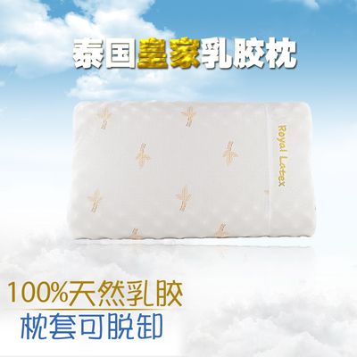 滋养着国际交流与合作