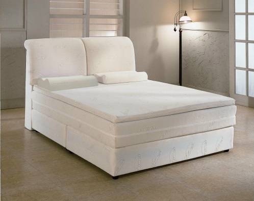 若执政联盟未获得过半数议席