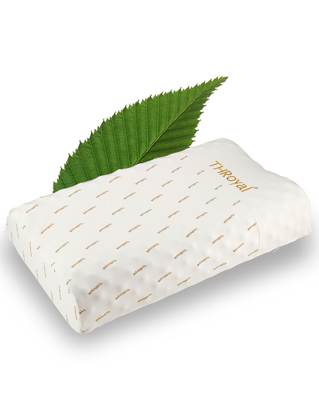 并设立了惠东时尚创意学院